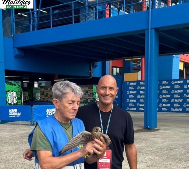 Recupero al MAPEI STADIUM – Città del Tricolore