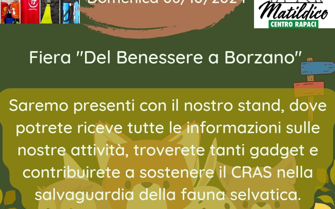 Stand alla Fiera “Del benessere a Borzano”