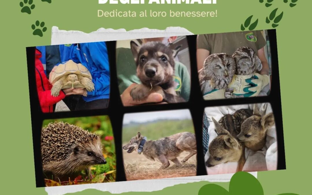 4 ottobre: giornata mondiale degli animali