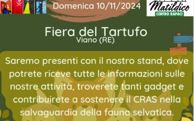 Fiera del Tartufo a Viano (RE)