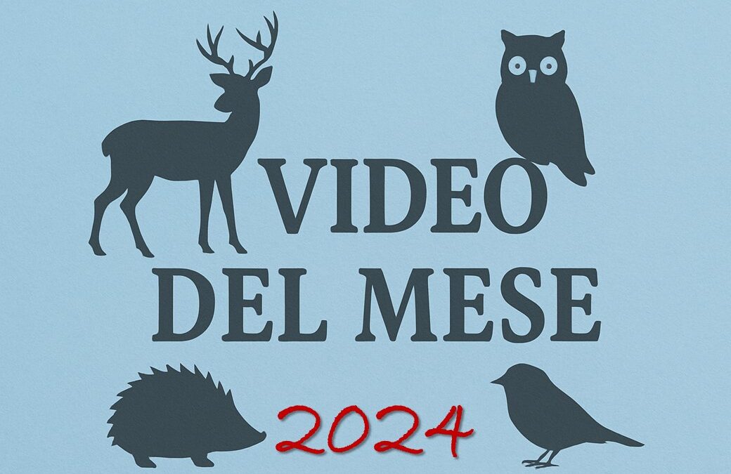 I video dei nostri interventi – 2024