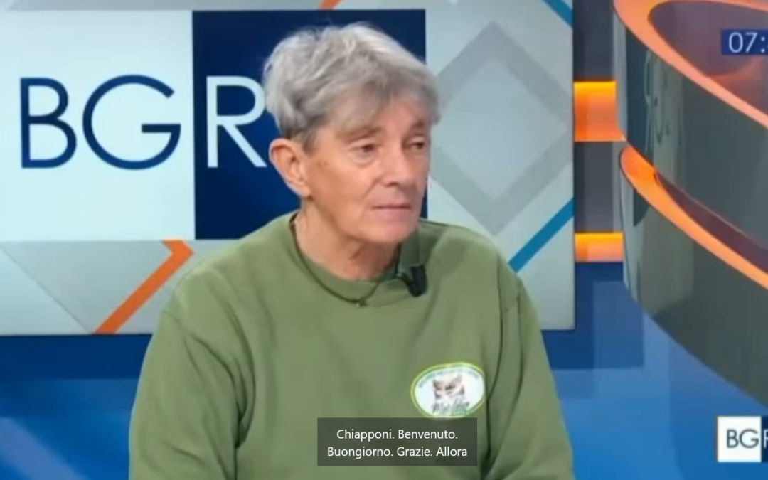 Intervista su Rai 3 di Ivano Chiapponi, Responsabile del CRAS