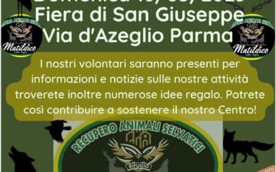 Fiera di San Giuseppe a Parma