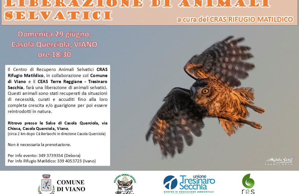Liberazione di animali selvatici a Casola Querciola (Viano)