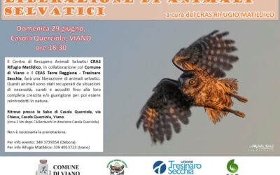 Liberazione di animali selvatici a Casola Querciola (Viano)