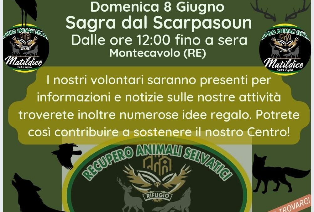 Sagra dal SCARPASOUN a Montecchio