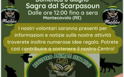 Sagra dal SCARPASOUN a Montecchio