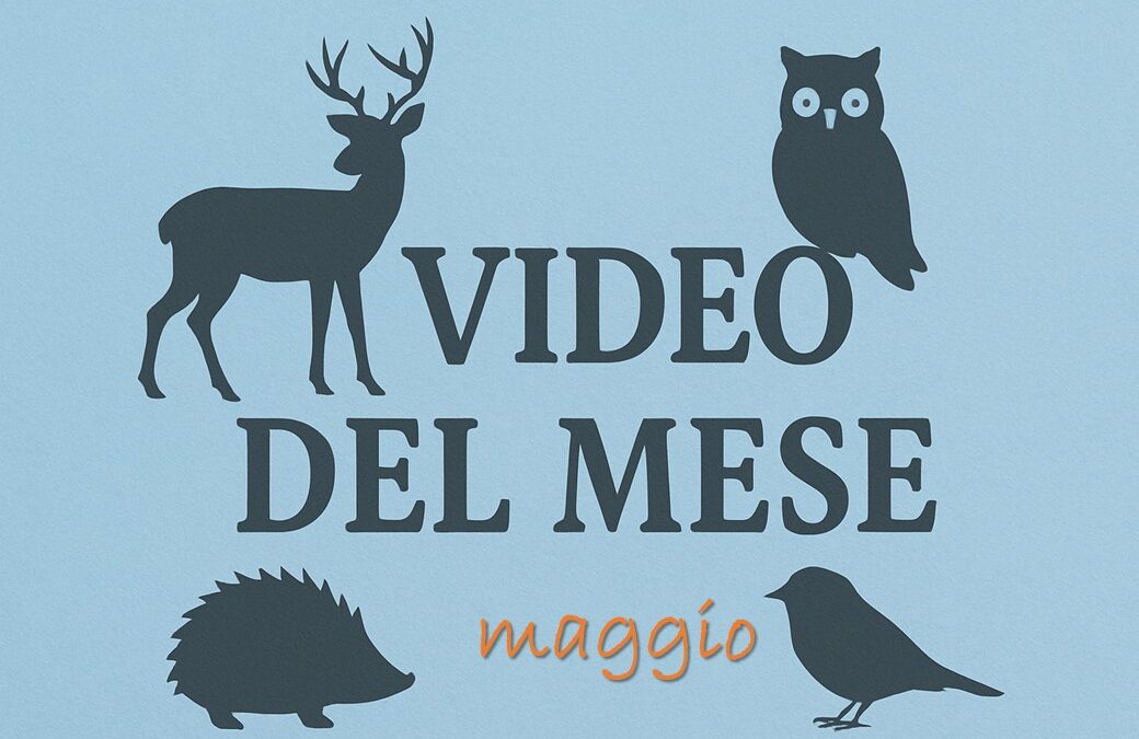I video del CRAS di maggio