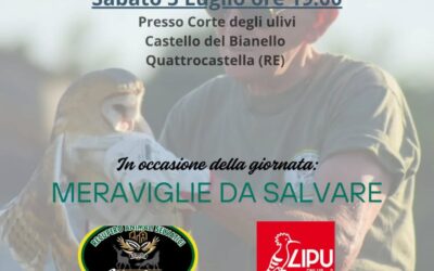 Liberazione animali al Castello del Bianello (RE)