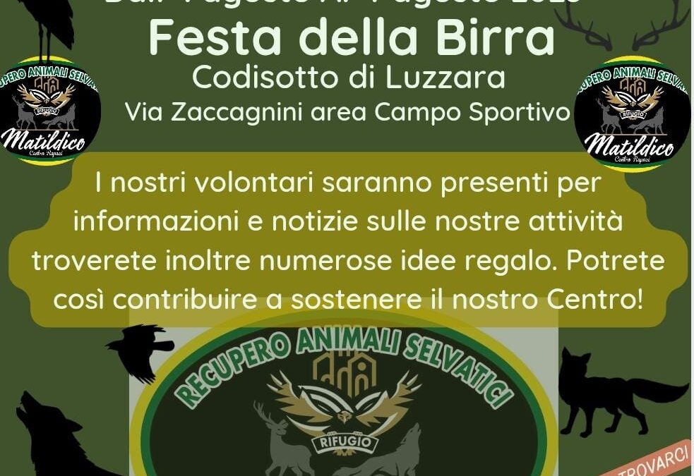 Festa della birra di Codisotto