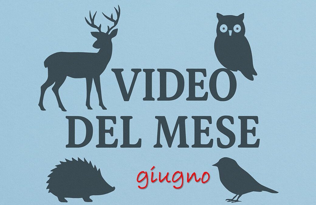 I video del CRAS di giugno
