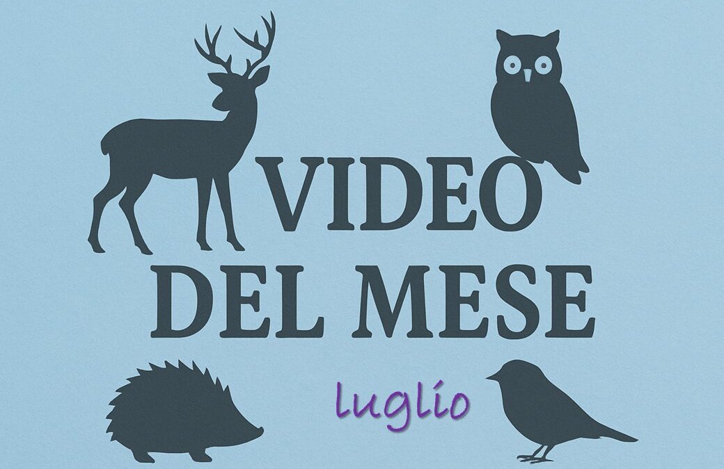 I video del CRAS di luglio