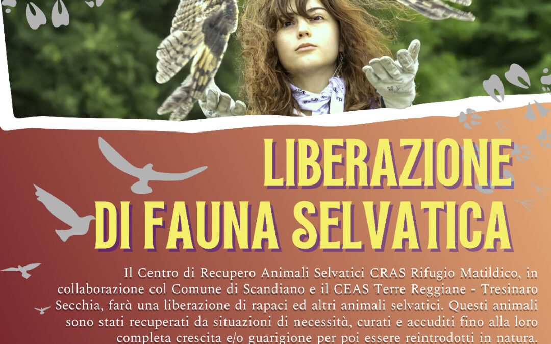 Liberazione di Animali Selvatici a Ventoso (SCANDIANO)