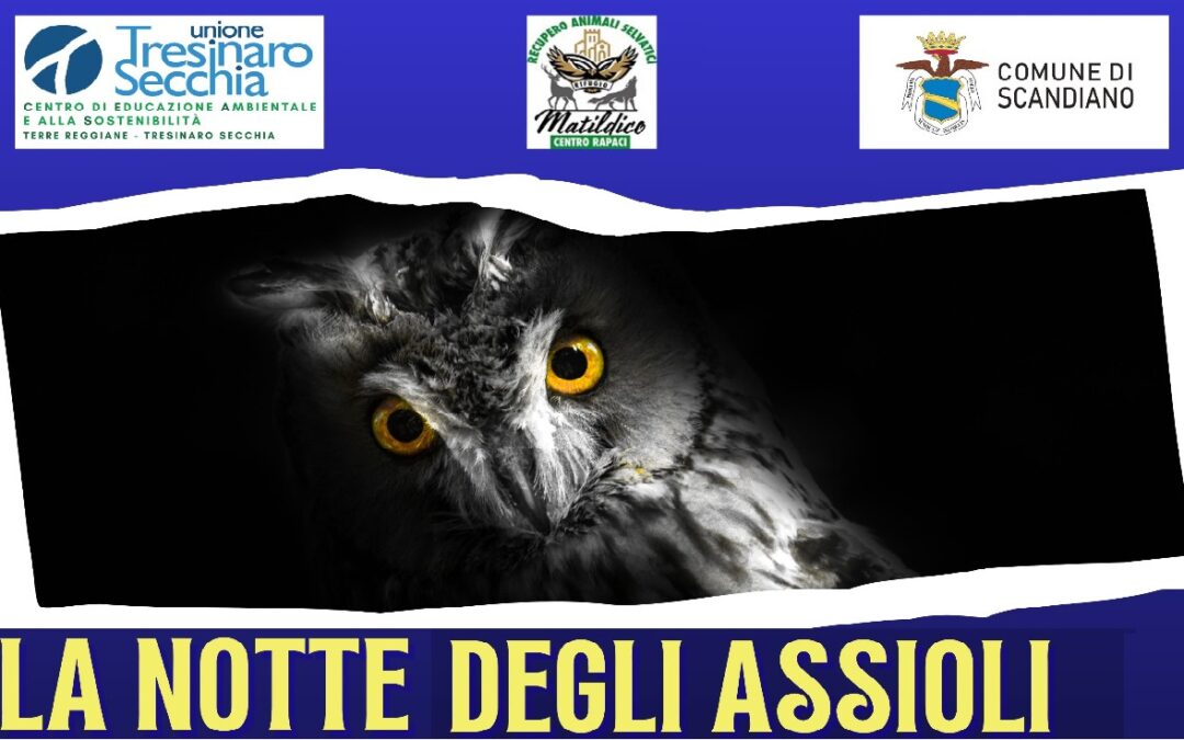 LA NOTTE DEGLI ASSIOLI a Iano (Scandiano)