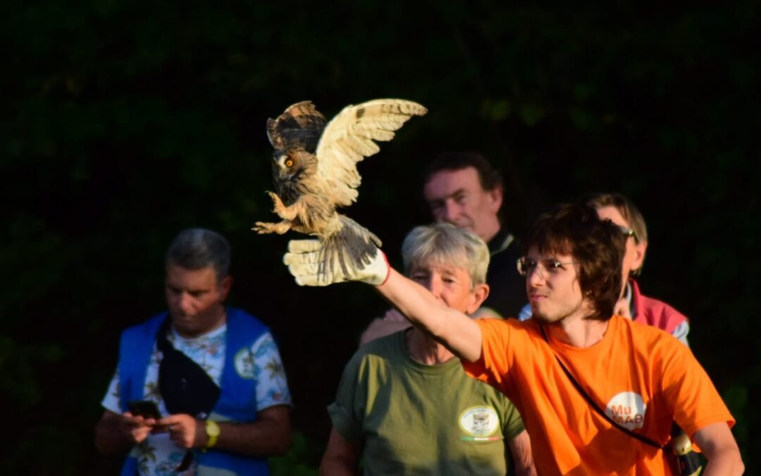 Foto della liberazione al Parco del Ducato