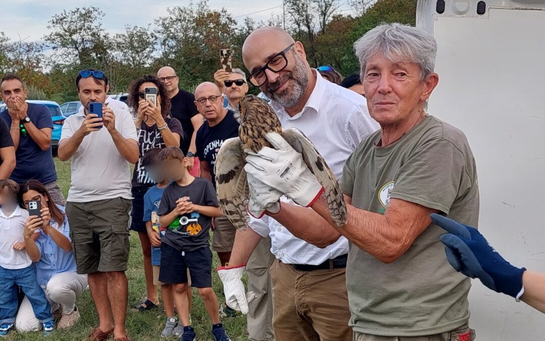 Tanti animali tornati in libertà a Ventoso – Scandiano