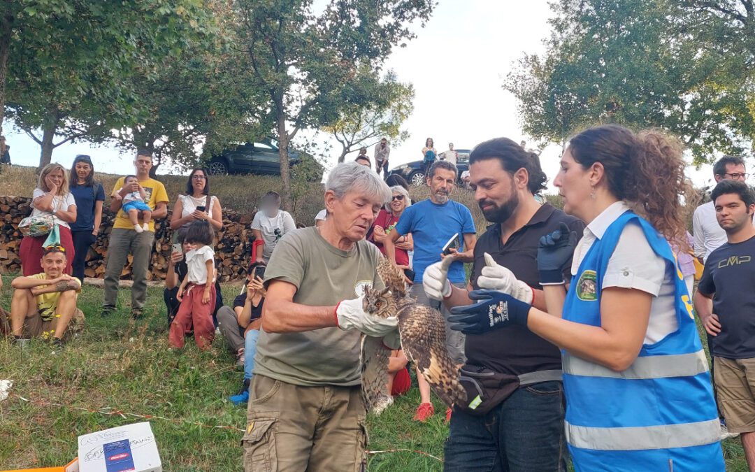 Tanti animali in libertà a Castagneto di Baiso (RE)