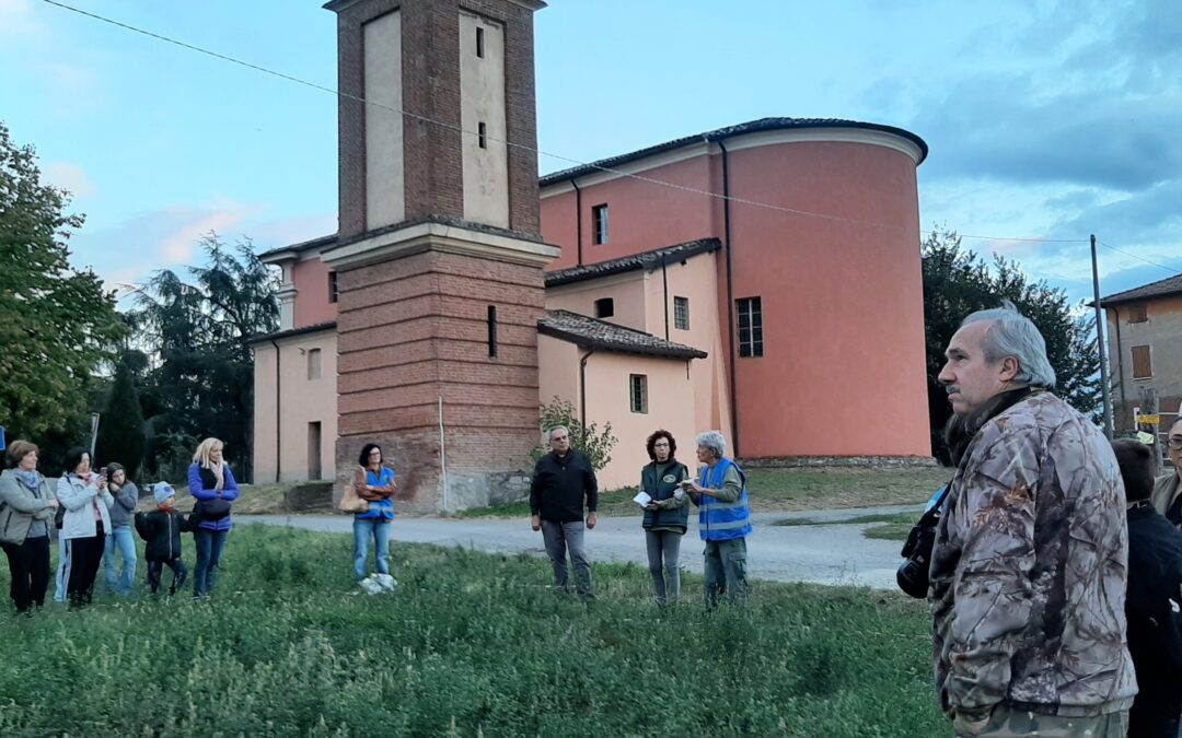 Tanti assioli tornati in libertà a Iano di Scandiano