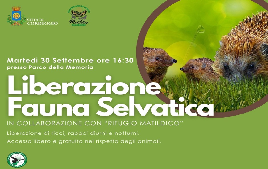 LIBERAZIONE FAUNA SELVATICA a Correggio