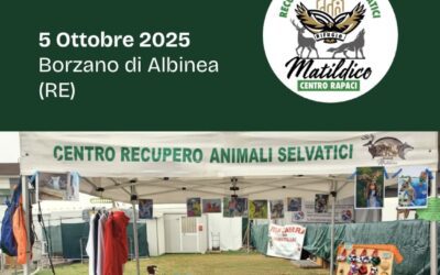 Stand CRAS a “Benessere al Parco” a Borzano di Albinea