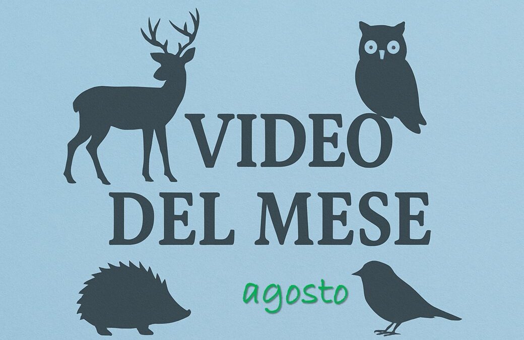 I video del CRAS di agosto