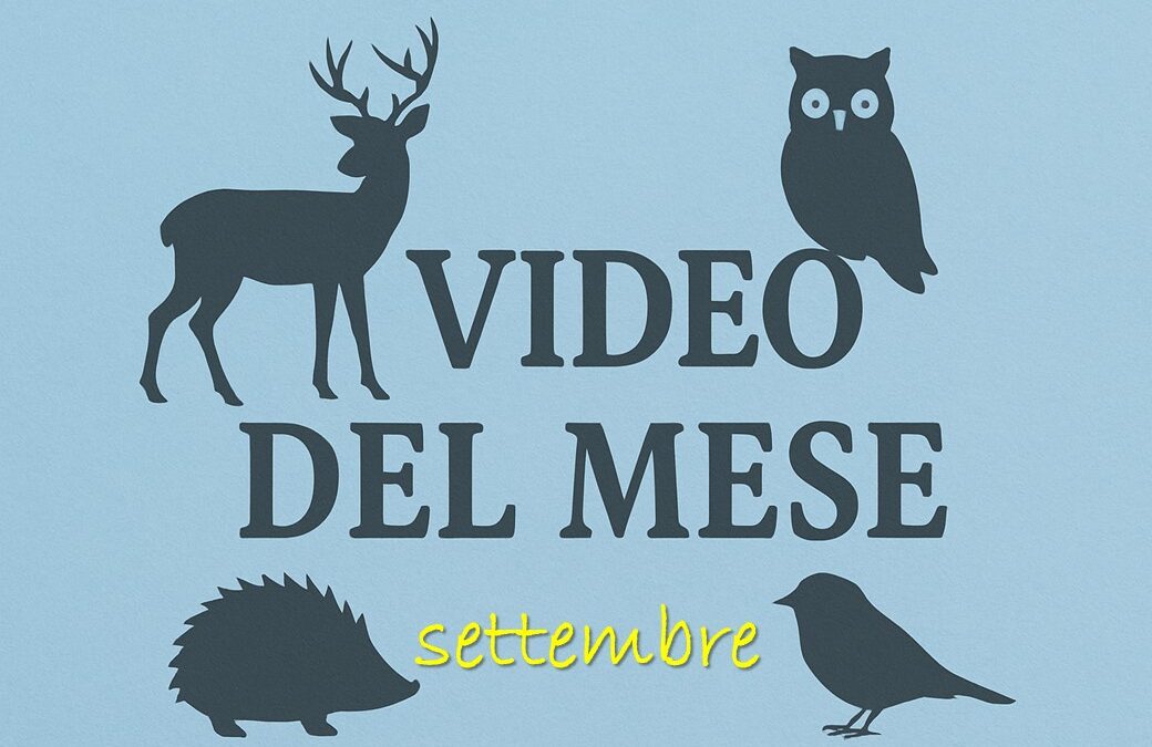 I video del CRAS di settembre