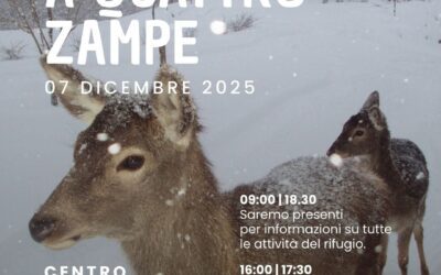 Stand CRAS al Centro commerciale Ariosto