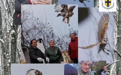 Liberazione al Parco di Marano (PR)