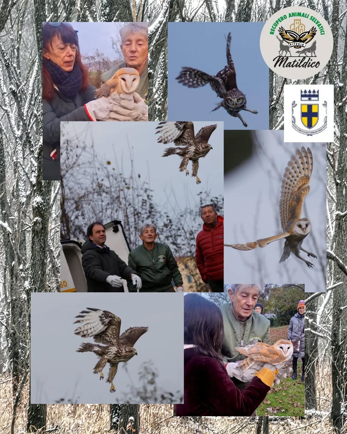 20251130 - liberazione Parco di Marano