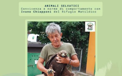 Evento “Conoscere per custodire”