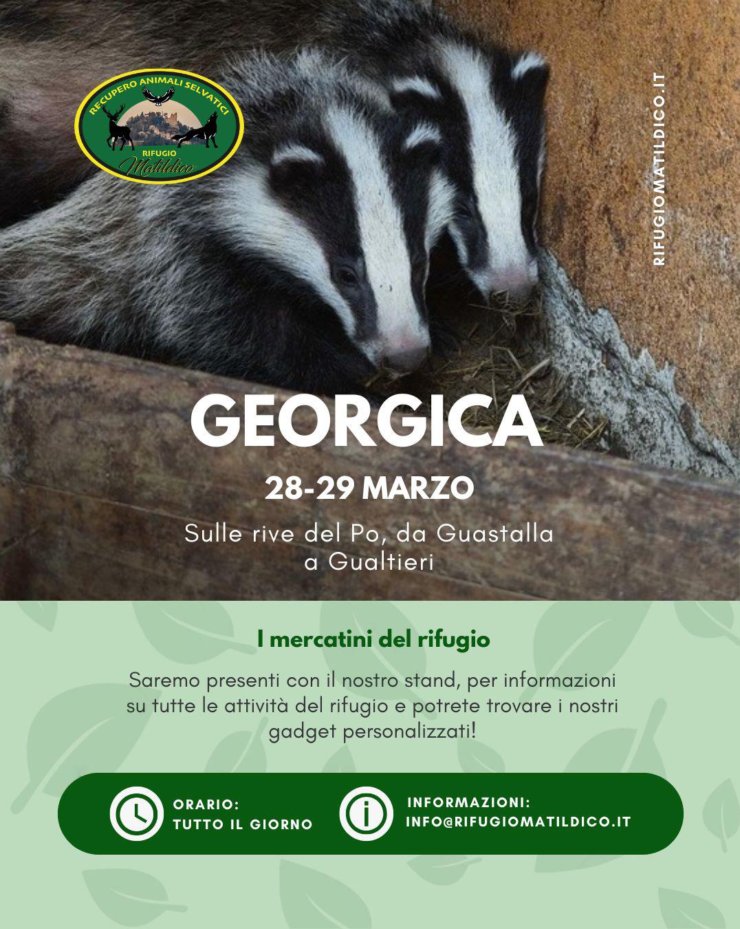 20260328 - Fiera Georgica