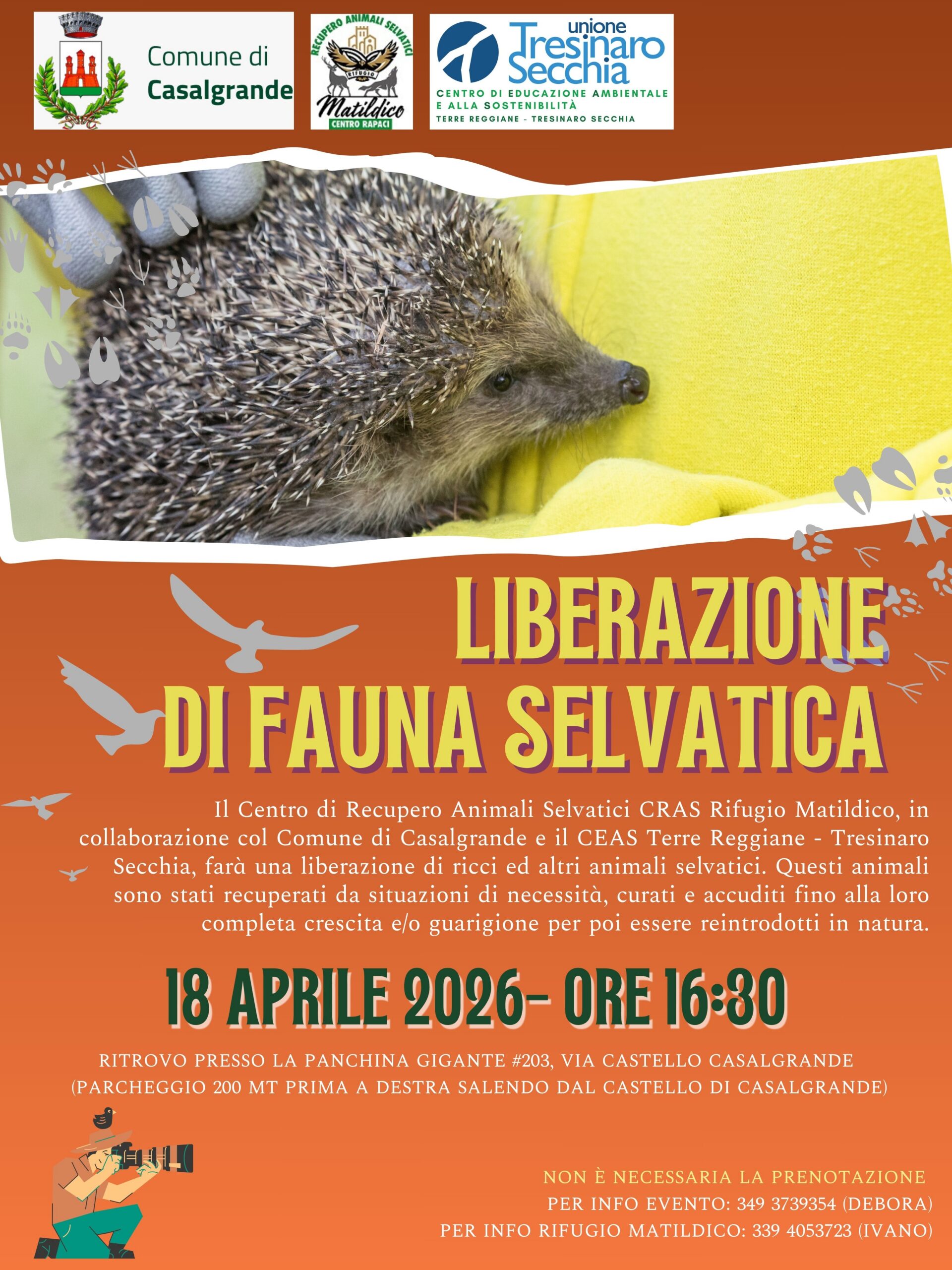 2026 04 18 - Liberazione fauna selvatica