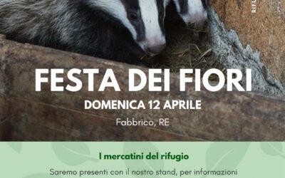 Stand CRAS alla “Festa dei fiori” a Fabbrico