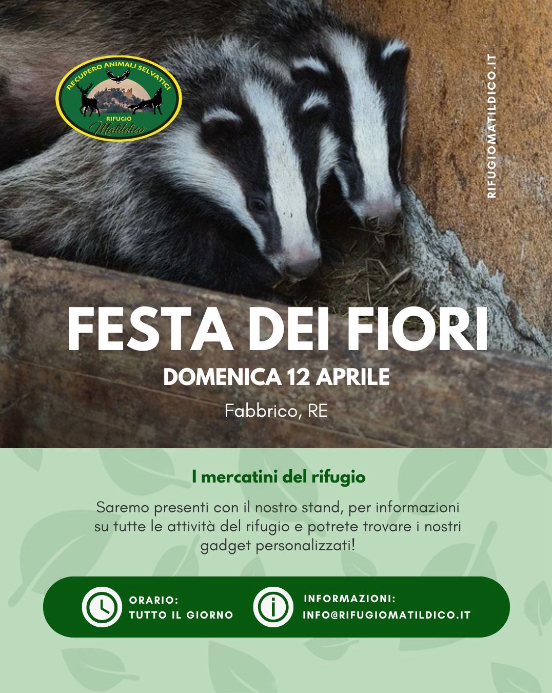 20260412 - Festa fiori Fabbrico