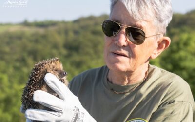 Tanti RICCI tornati in libertà a Casalgrande