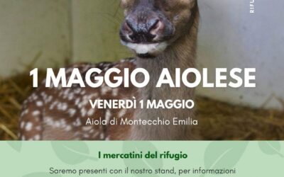 Stand CRAS alla Fiera “1 maggio Aiolese”