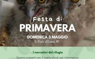 Stand CRAS alla “Festa di PRIMAVERA”