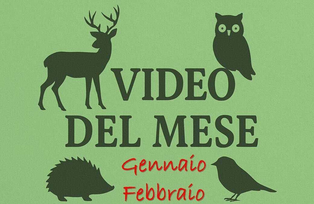 I video del CRAS di gennaio e febbraio 2026