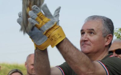 LIBERAZIONE IN NATURA DI ANIMALI SELVATICI a Sant’Ilario d’Enza