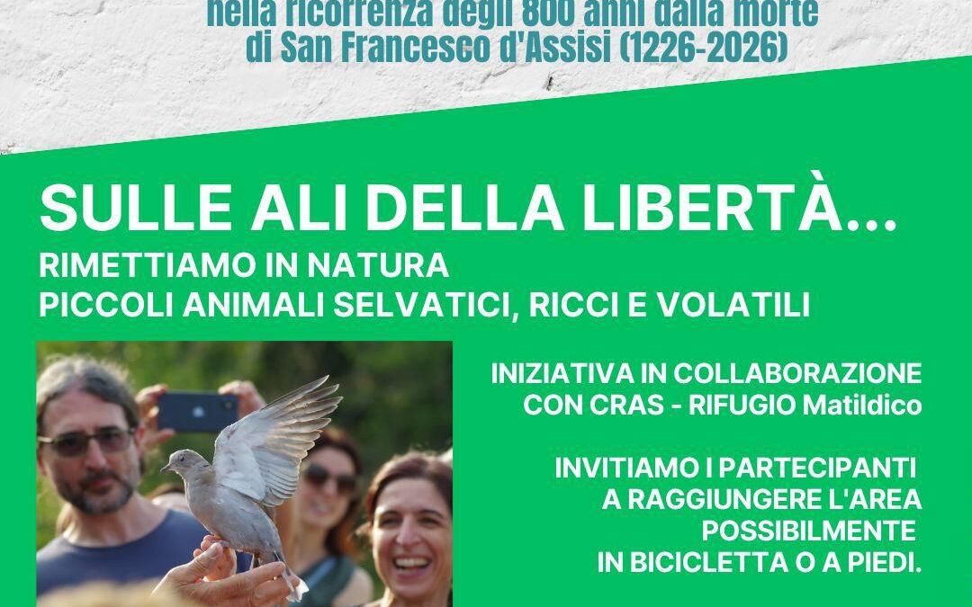 LIBERAZIONE IN NATURA DI ANIMALI SELVATICI a Sant’Ilario d’Enza