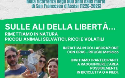 LIBERAZIONE IN NATURA DI ANIMALI SELVATICI a Sant’Ilario d’Enza
