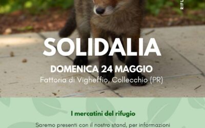 Stand CRAS a “SOLIDALIA”