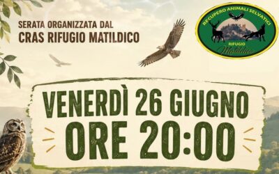 Serata organizzata dal CRAS Rifugio Matildico