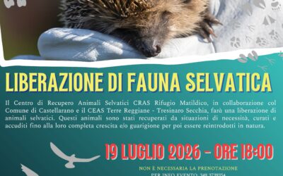 Liberazione di Fauna selvatica a Castellarano