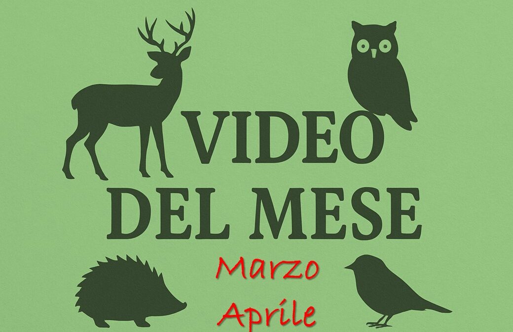 I video del CRAS di marzo e aprile 2026