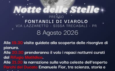 Notte delle stelle ai Fontanili di Viarolo