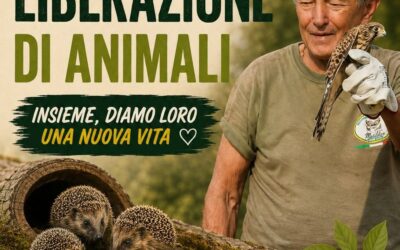 Liberazione di animali presso l’Oasi WWF di Cronovilla