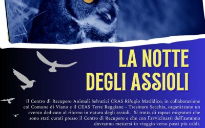 La notte degli assioli a Viano