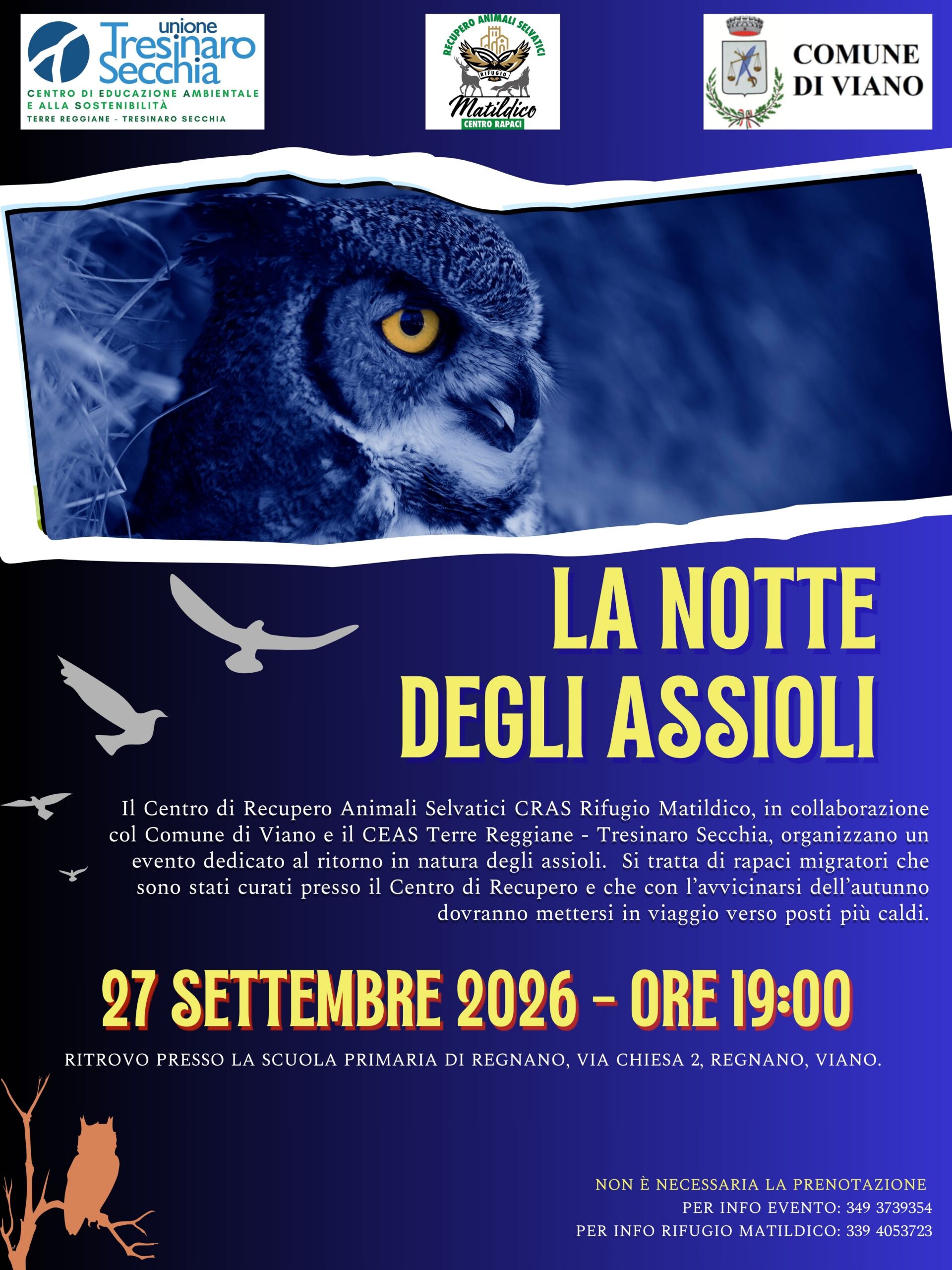 2026 09 27 - La notte degli assioli