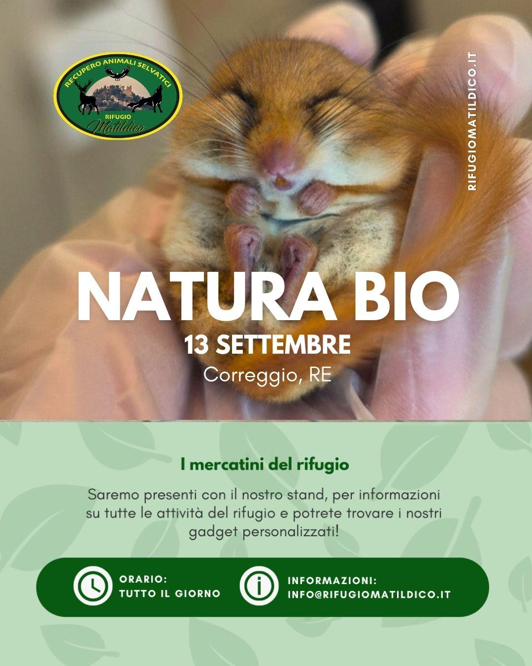 20260913 - Natura Bio